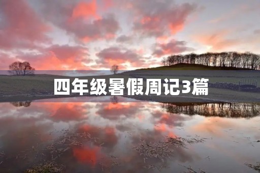 四年级暑假周记3篇