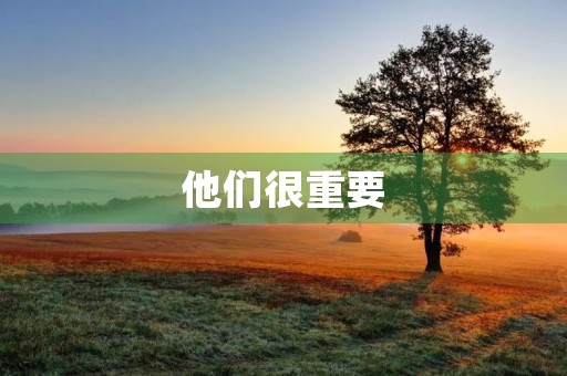 他们很重要 他们很重要