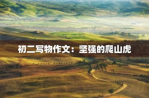 初二写物作文:坚强的爬山虎 初二写物作文:坚强的爬山虎
