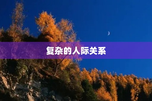 复杂的人际关系