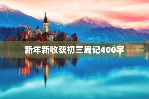 新年新收获初三周记400字