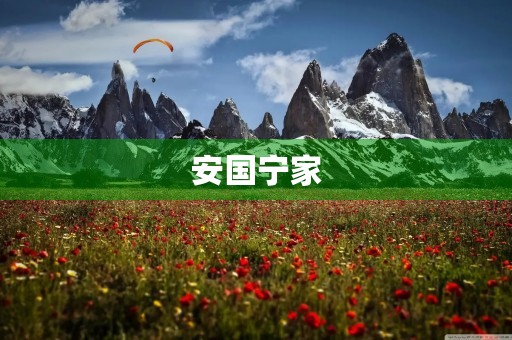 安国宁家