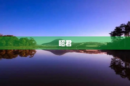 昭君 昭君