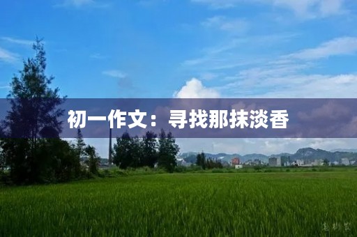 初一作文:寻找那抹淡香 初一作文:寻找那抹淡香