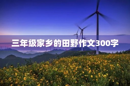 三年级家乡的田野作文300字