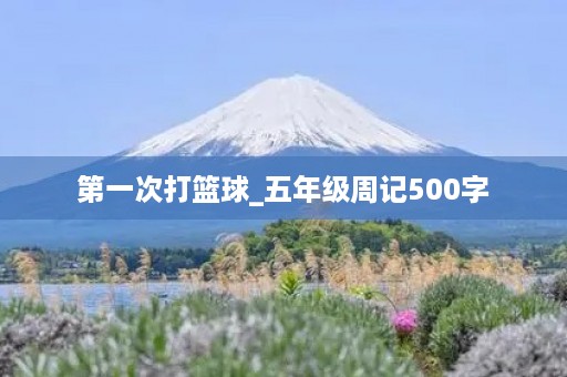 第一次打篮球_五年级周记500字