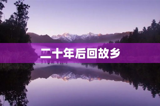二十年后回故乡 二十年后回故乡