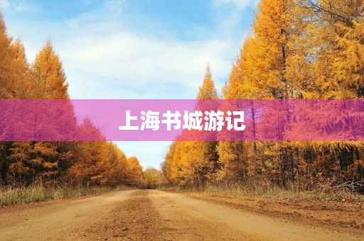 上海书城游记 上海书城游记