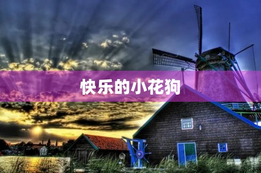 快乐的小花狗 快乐的小花狗