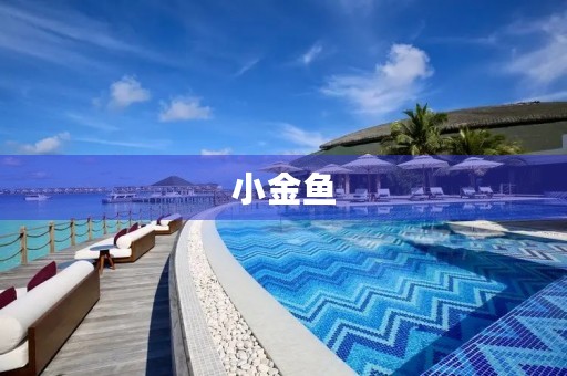 小金鱼