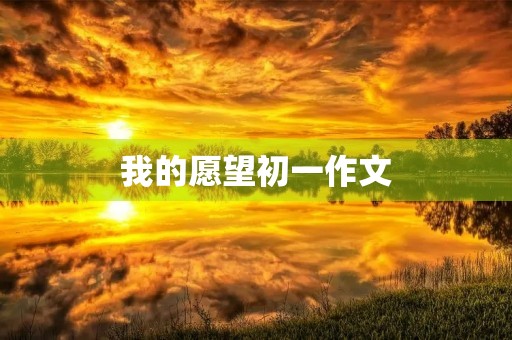 我的愿望初一作文 我的愿望初一作文