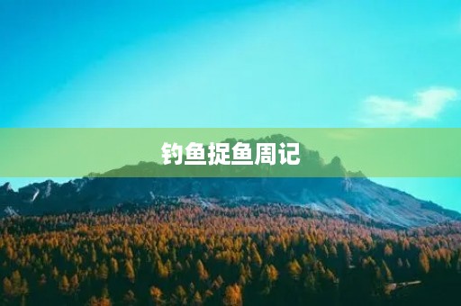钓鱼捉鱼周记 钓鱼捉鱼周记