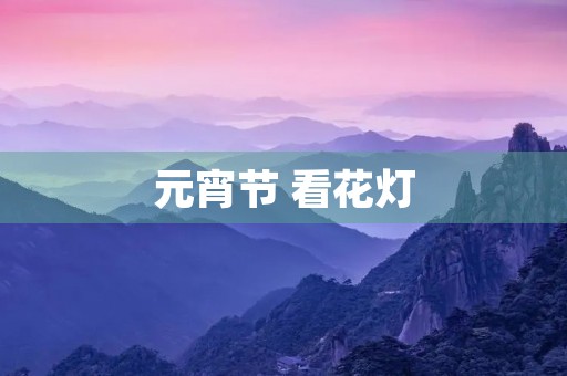 元宵节 看花灯
