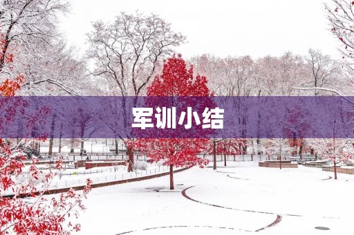 军训小结 军训小结