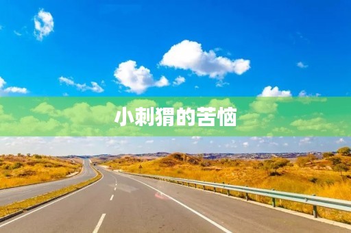 小刺猬的苦恼 小刺猬的苦恼