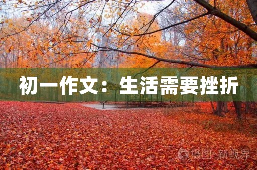 初一作文:生活需要挫折 初一作文:生活需要挫折