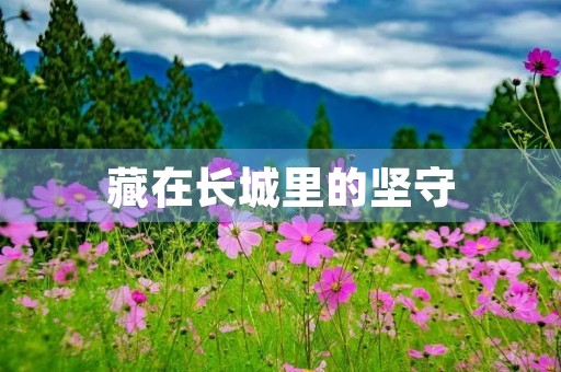 藏在长城里的坚守 藏在长城里的坚守