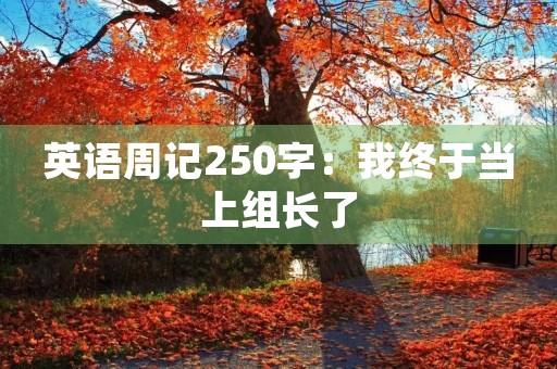 英语周记250字:我终于当上组长了 英语周记250字:我终于当上组长了
