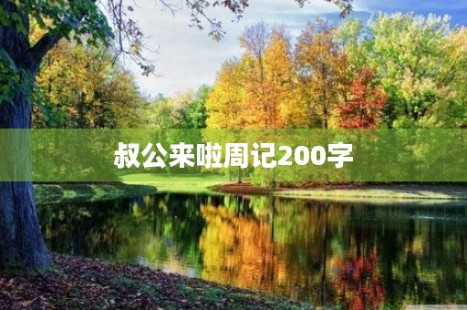 叔公来啦周记200字