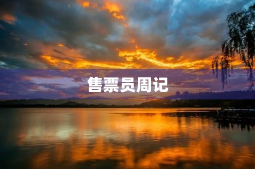售票员周记