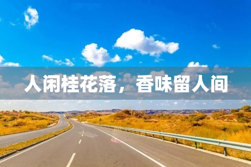 人闲桂花落,香味留人间 人闲桂花落,香味留人间