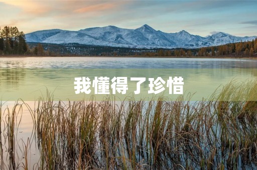 我懂得了珍惜 我懂得了珍惜