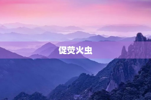 促荧火虫