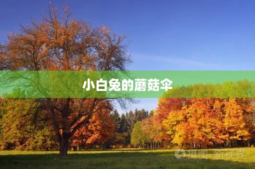 小白兔的蘑菇伞 小白兔的蘑菇伞