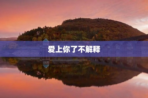 爱上你了不解释