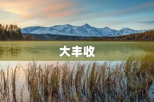 大丰收 大丰收