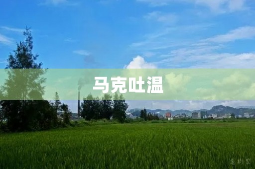 马克吐温 马克吐温