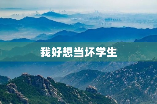 我好想当坏学生 我好想当坏学生