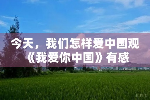 今天，我们怎样爱中国观《我爱你中国》有感