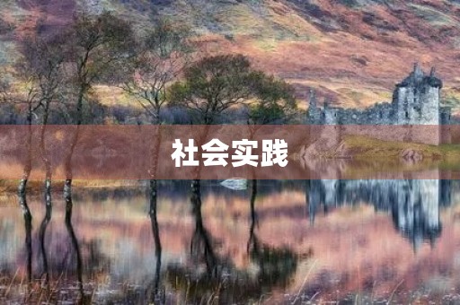 社会实践