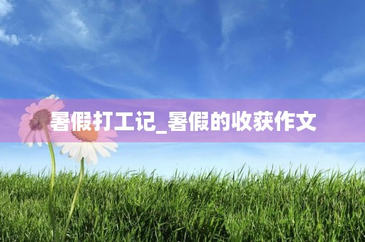暑假打工记_暑假的收获作文
