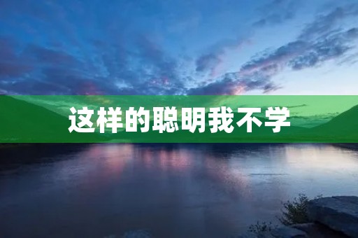 这样的聪明我不学 这样的聪明我不学