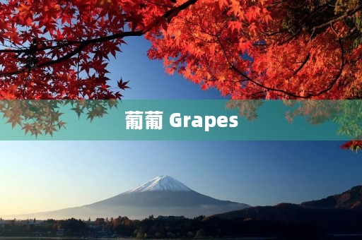 葡葡 Grapes 葡葡 Grapes