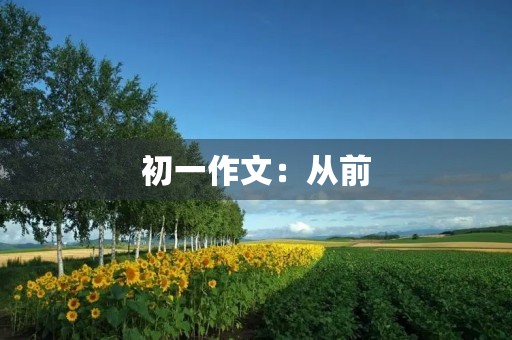 初一作文：从前