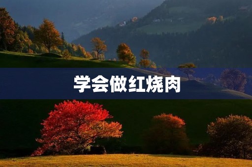 学会做红烧肉 学会做红烧肉