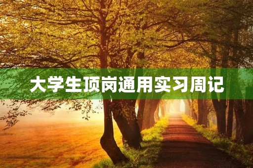 大学生顶岗通用实习周记