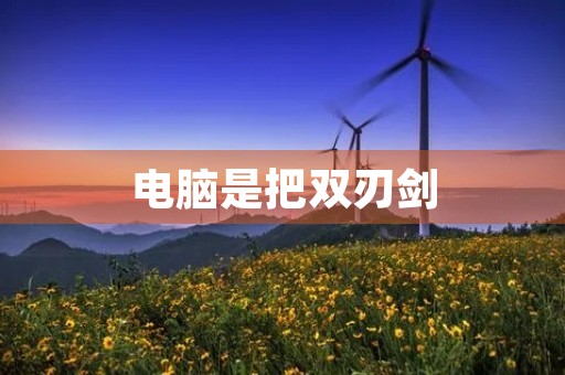 电脑是把双刃剑 电脑是把双刃剑