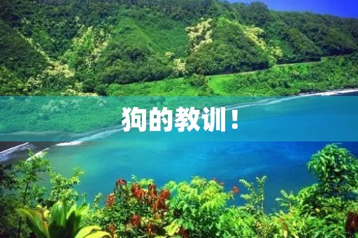 狗的教训! 狗的教训!