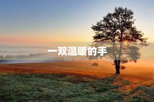 一双温暖的手 一双温暖的手