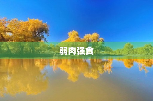 弱肉强食