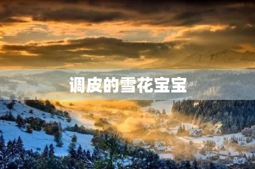 调皮的雪花宝宝