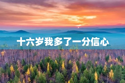 十六岁我多了一分信心