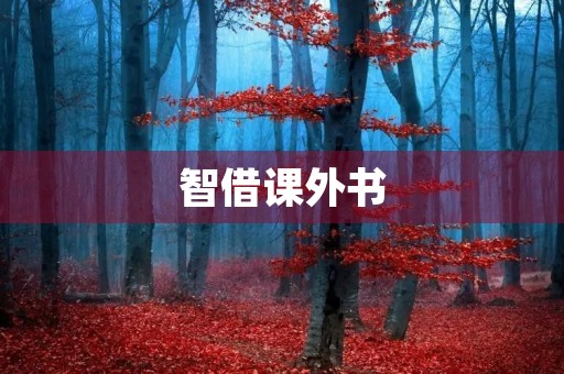 智借课外书 智借课外书