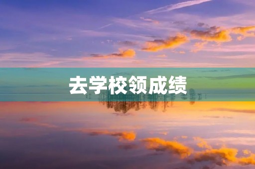去学校领成绩
