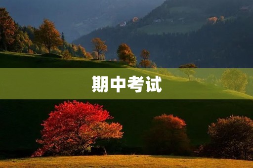 期中考试 期中考试