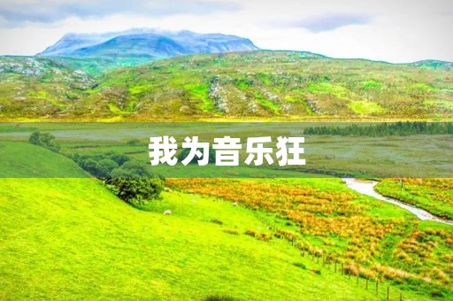 我为音乐狂 我为音乐狂